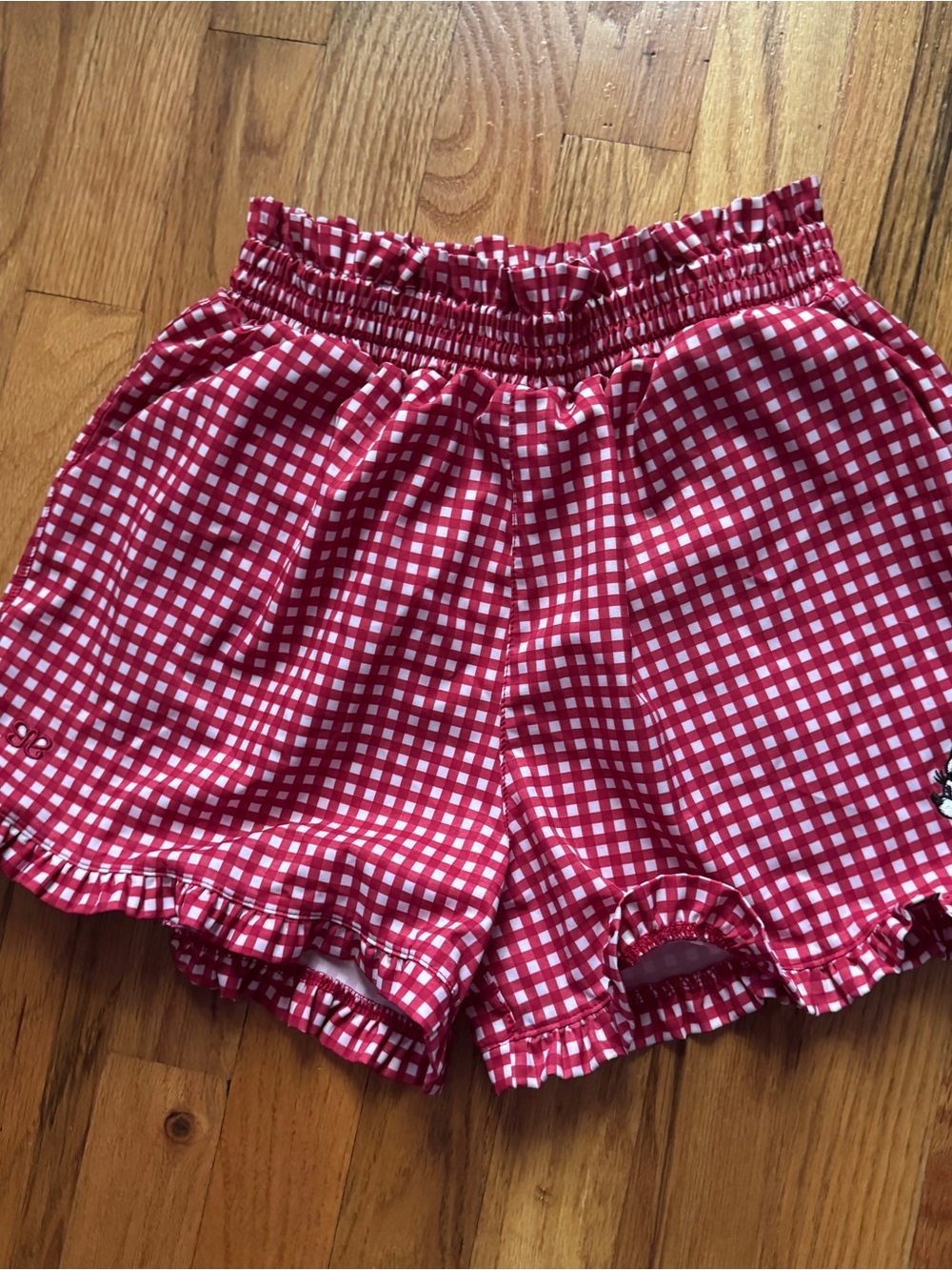 Disney Minnie Mouse Lake Shorts in Red Check